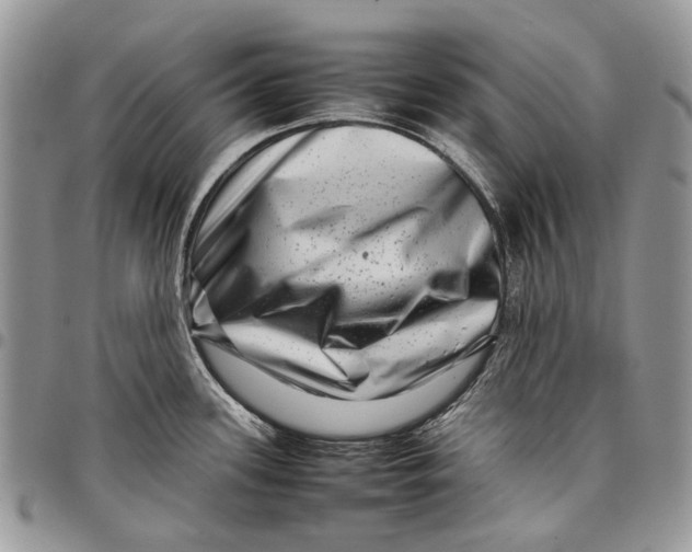 X0000097781339200803281653