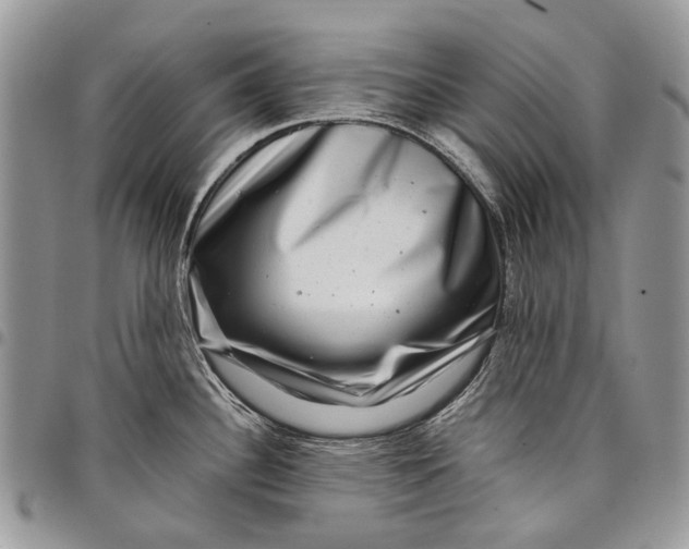 X0000097781340200803281653