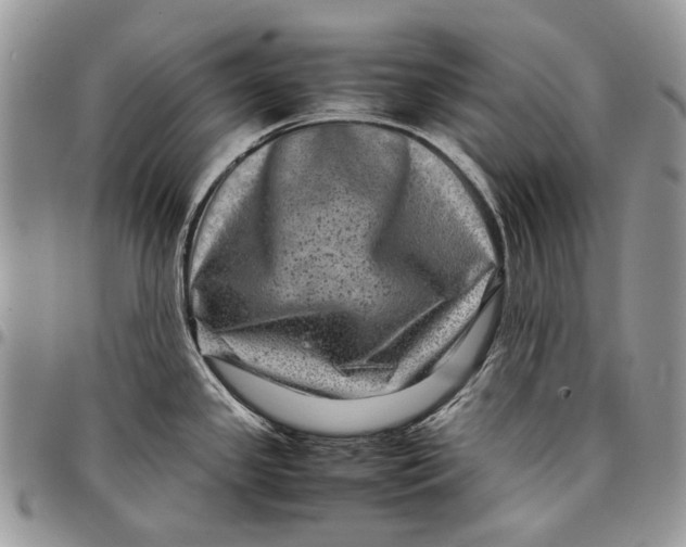 X0000097781341200803281653