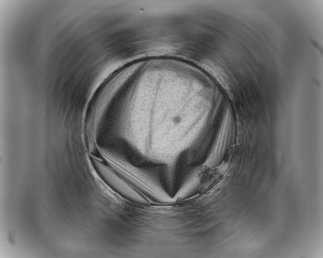 X0000097781342200803281653