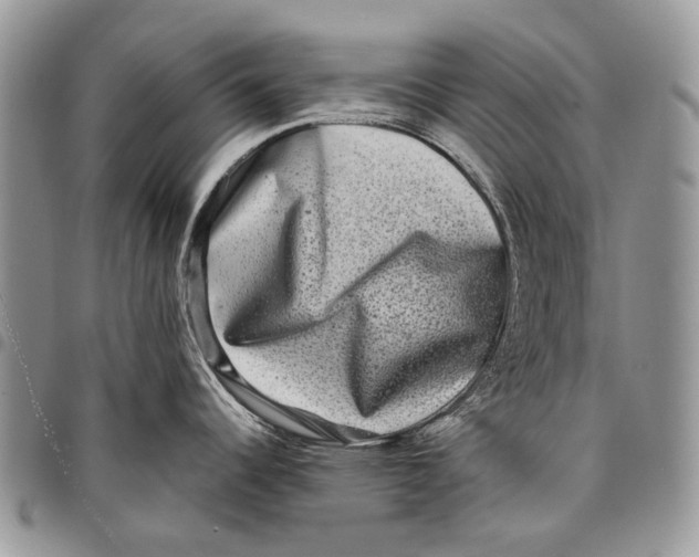 X0000097781344200803281653