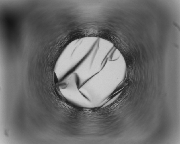 X0000097781345200803281652