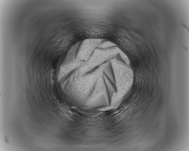 X0000097781346200803281652