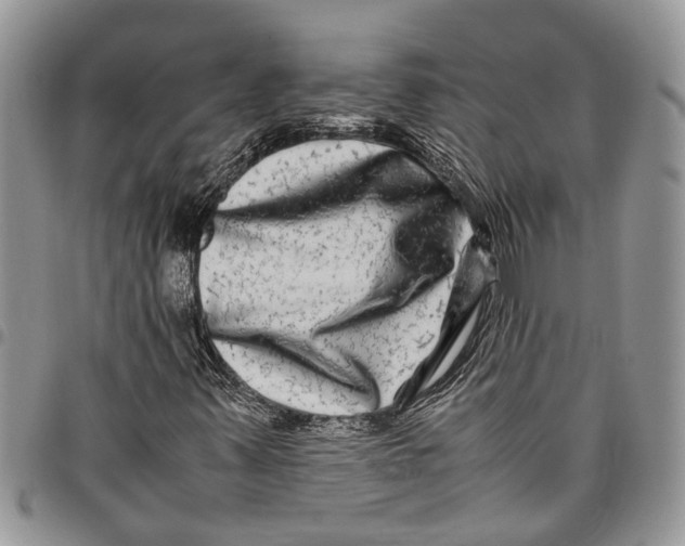 X0000097781347200803281652