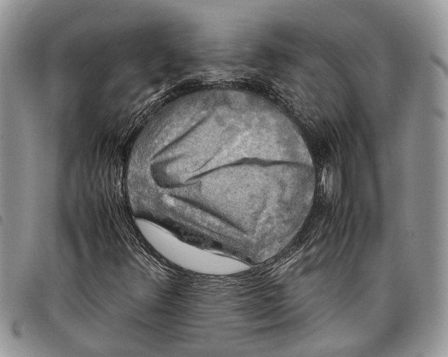 X0000097781348200803281652