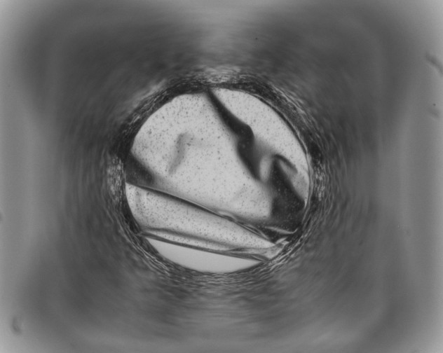 X0000097781349200803281652