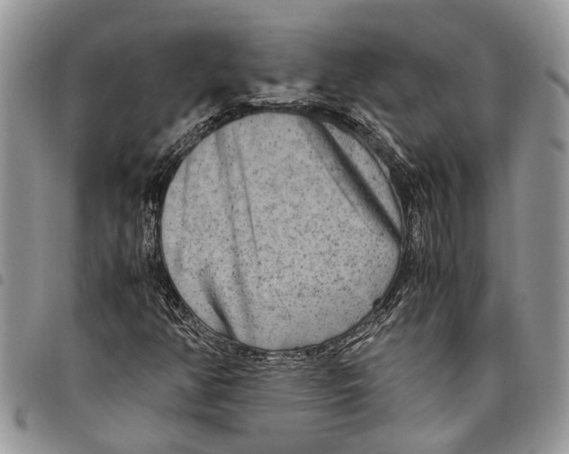 X0000097781350200803281652