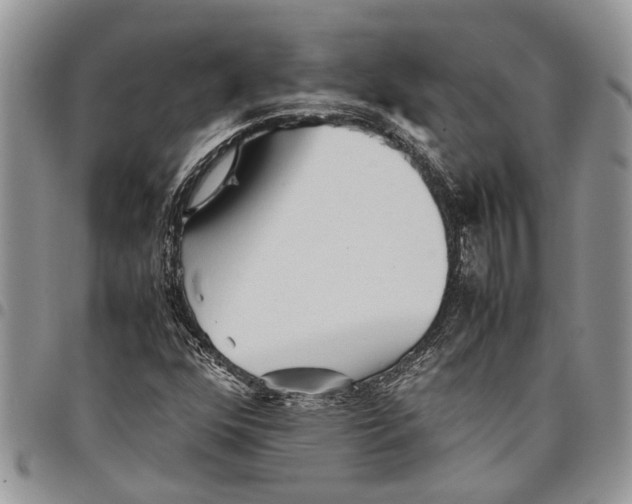 X0000097781352200803281652