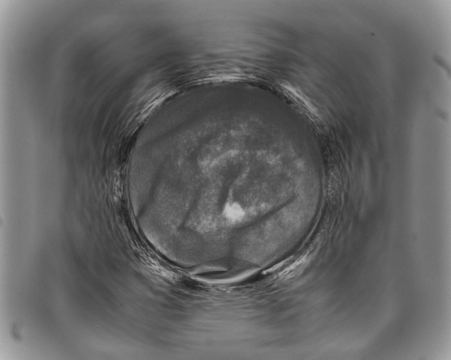 X0000097781353200803281652