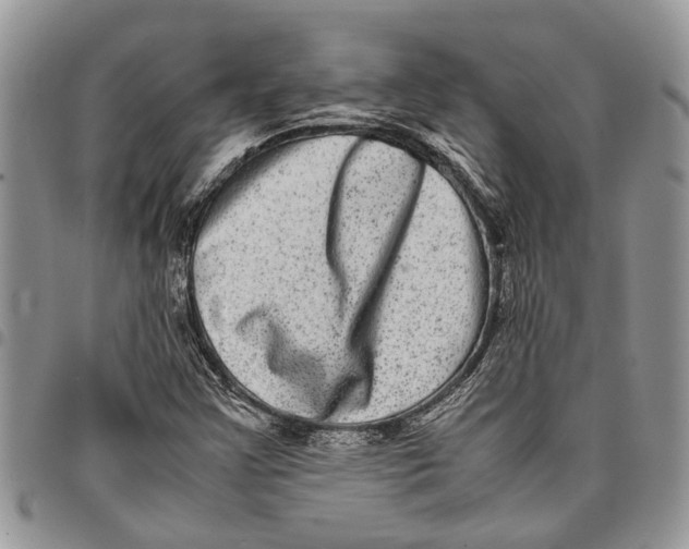 X0000097781355200803281652