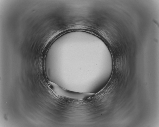 X0000097781356200803281652