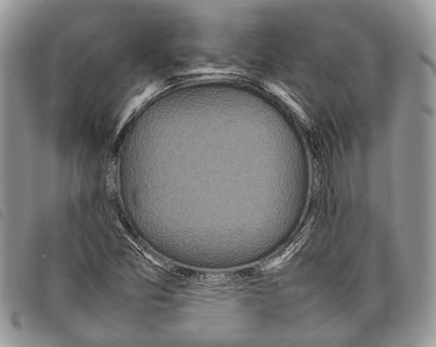 X0000097781357200803281652