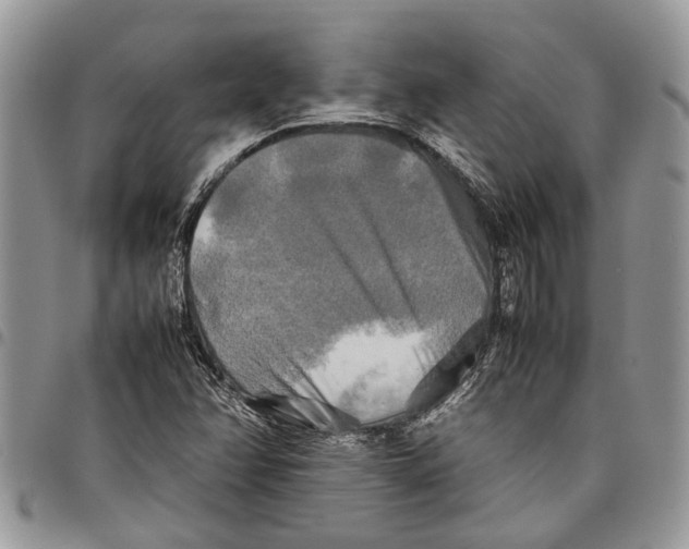 X0000097781358200803281652