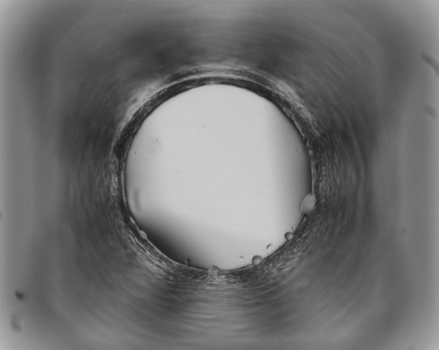 X0000097781360200803281652