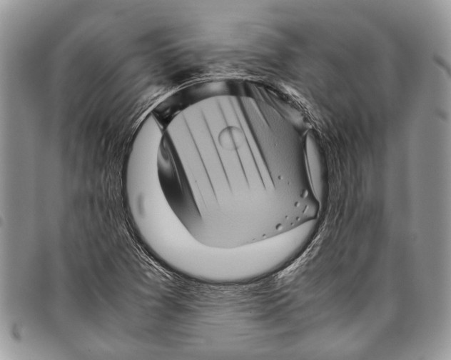 X0000097781361200803281652