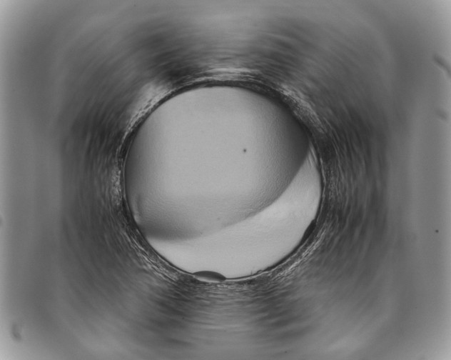 X0000097781362200803281652