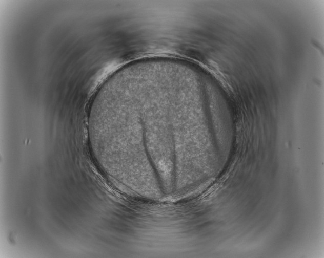 X0000097781363200803281652