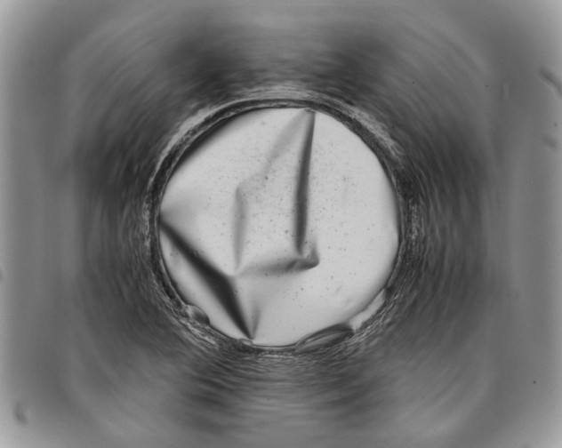 X0000097781364200803281652