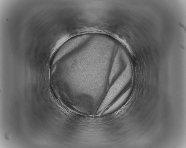 X0000097781365200803281652