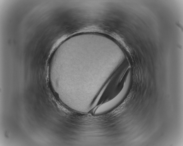 X0000097781366200803281652