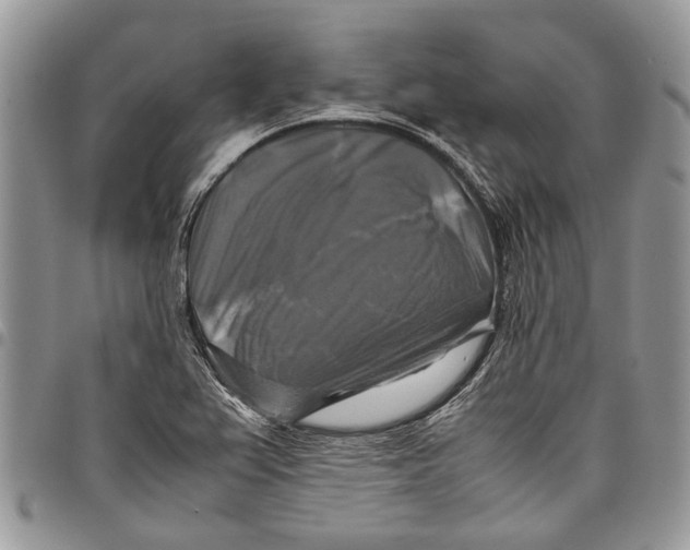 X0000097781367200803281652