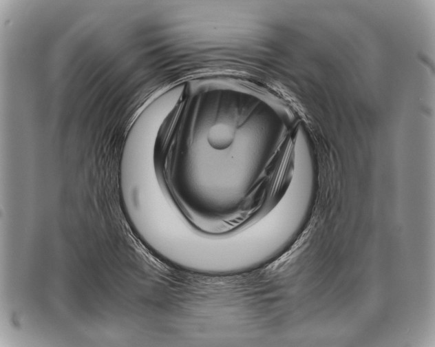 X0000097781369200803281652