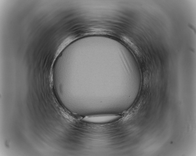 X0000097781370200803281652