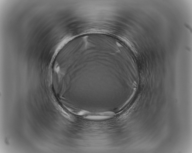 X0000097781371200803281652