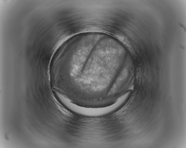 X0000097781372200803281652