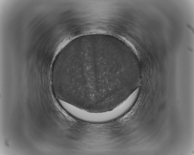 X0000097781373200803281652