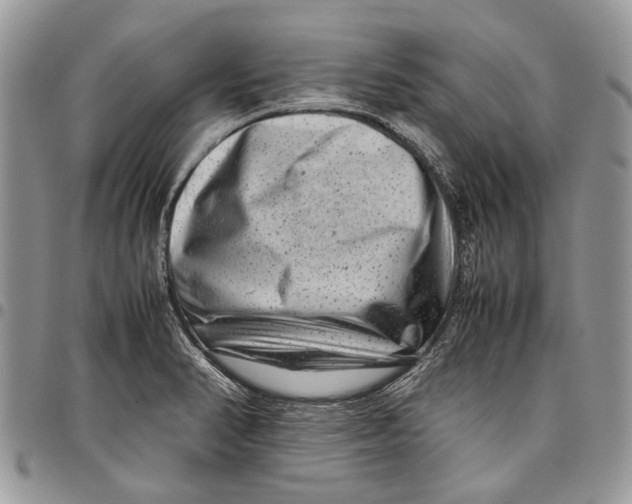 X0000097781374200803281652