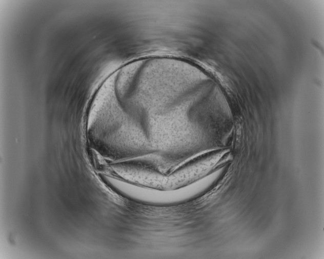 X0000097781375200803281652