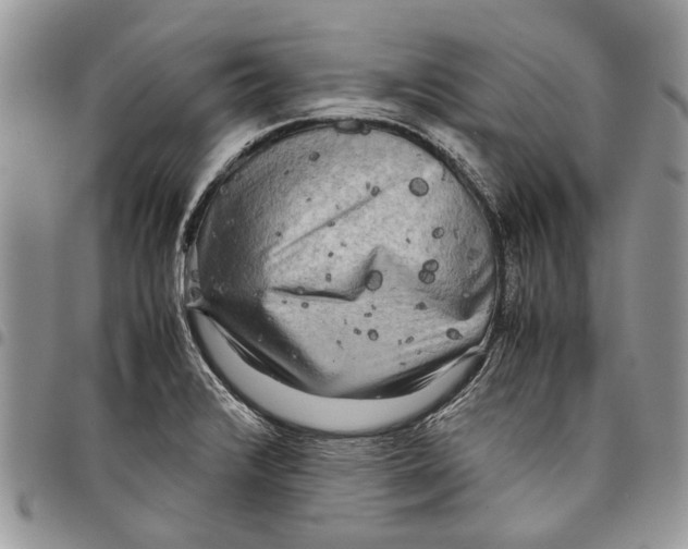 X0000097781376200803281652