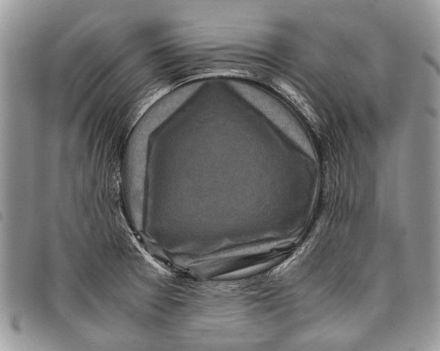 X0000097781377200803281652