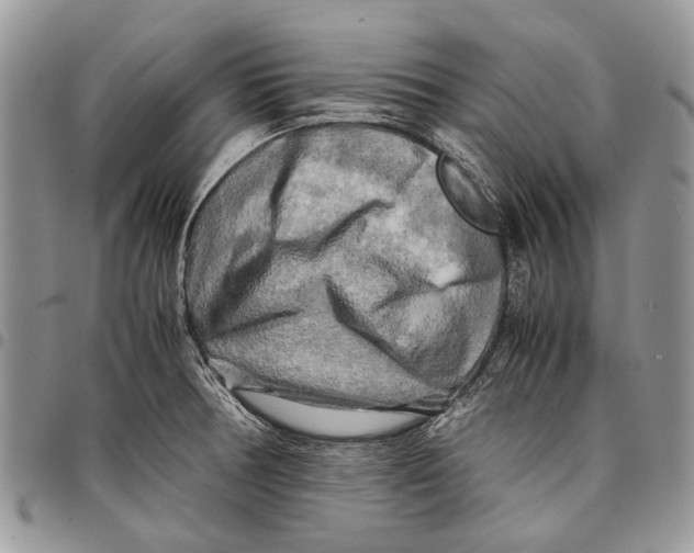 X0000097781378200803281652