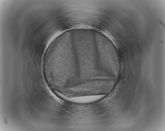 X0000097781379200803281652