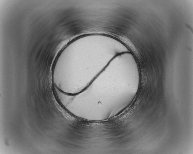 X0000097781380200803281652