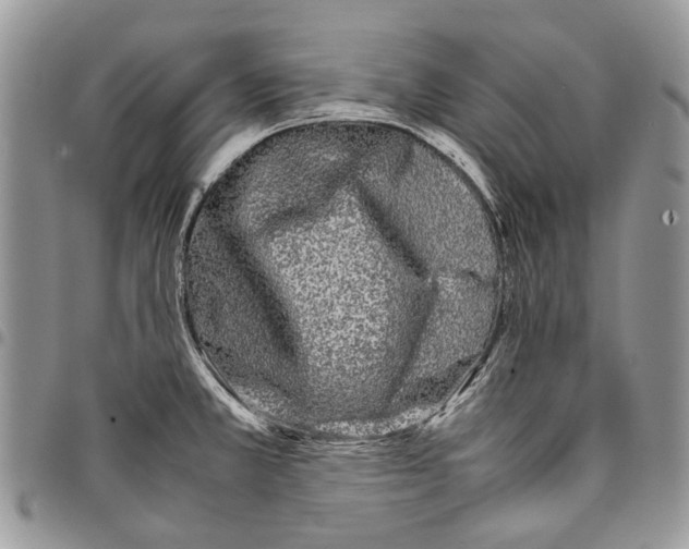 X0000097781381200803281652