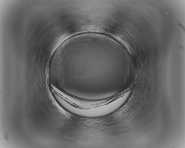 X0000097781383200803281652