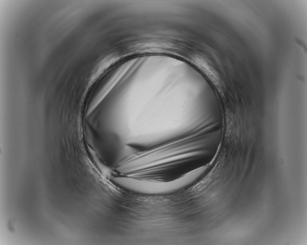 X0000097781384200803281652