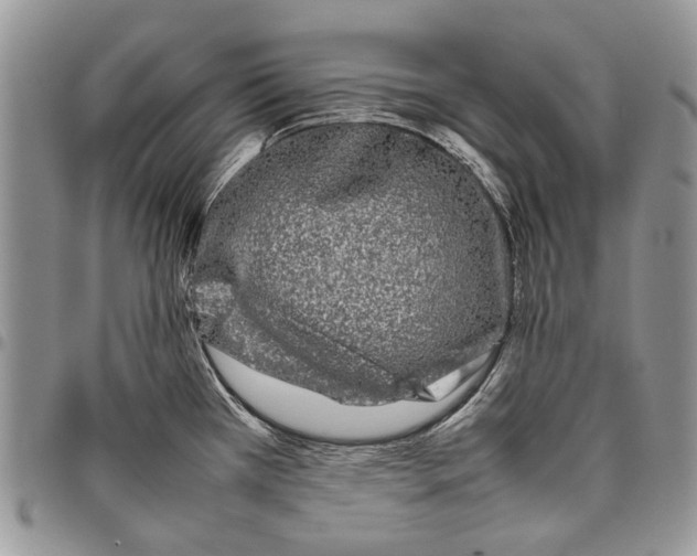 X0000097781385200803281652