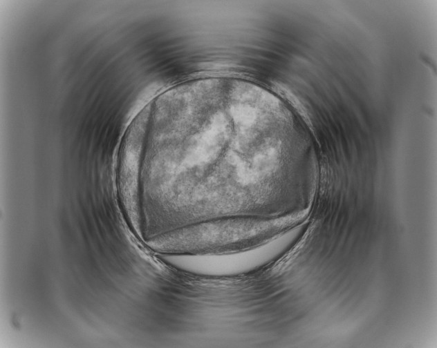 X0000097781386200803281652