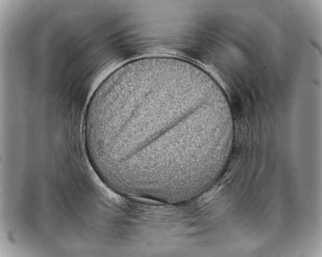 X0000097781387200803281652