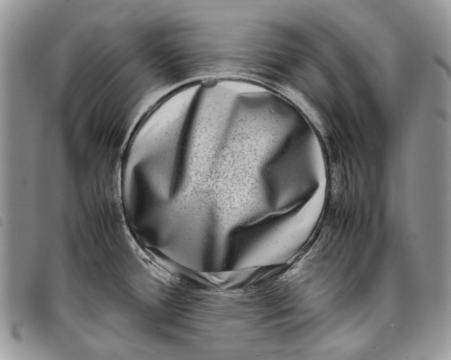 X0000097781388200803281652