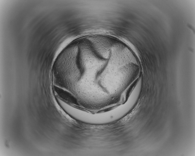 X0000097781389200803281652