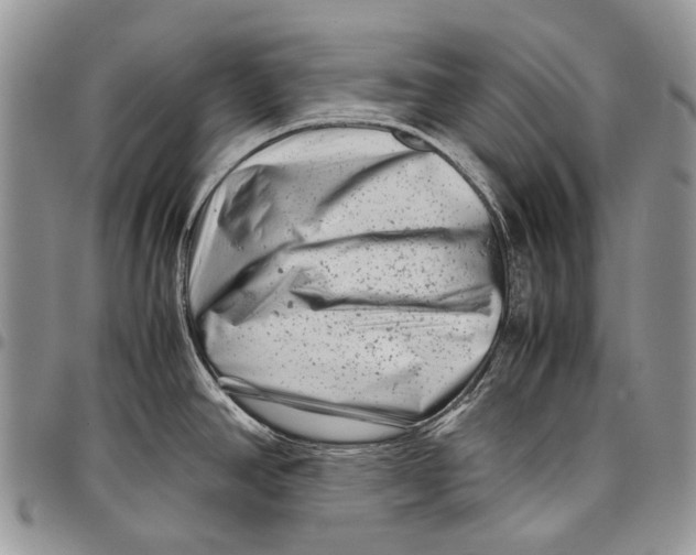 X0000097781390200803281652