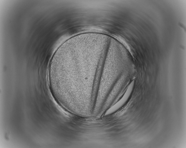 X0000097781391200803281652