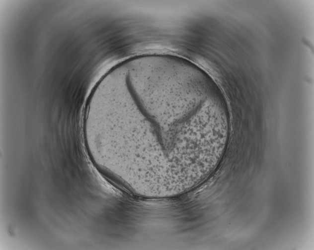 X0000097781392200803281652