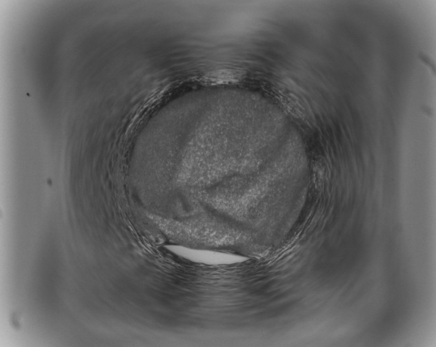 X0000097781393200803281651