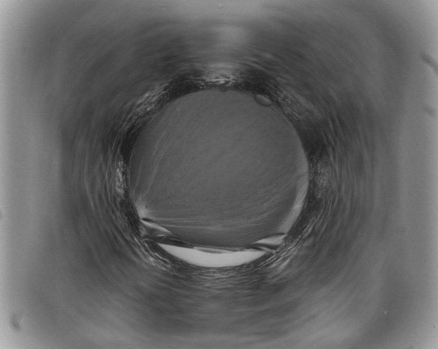 X0000097781394200803281651